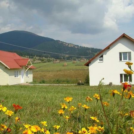Villa Casa Ana Vatra Dornei Dealu Floreni Esterno foto