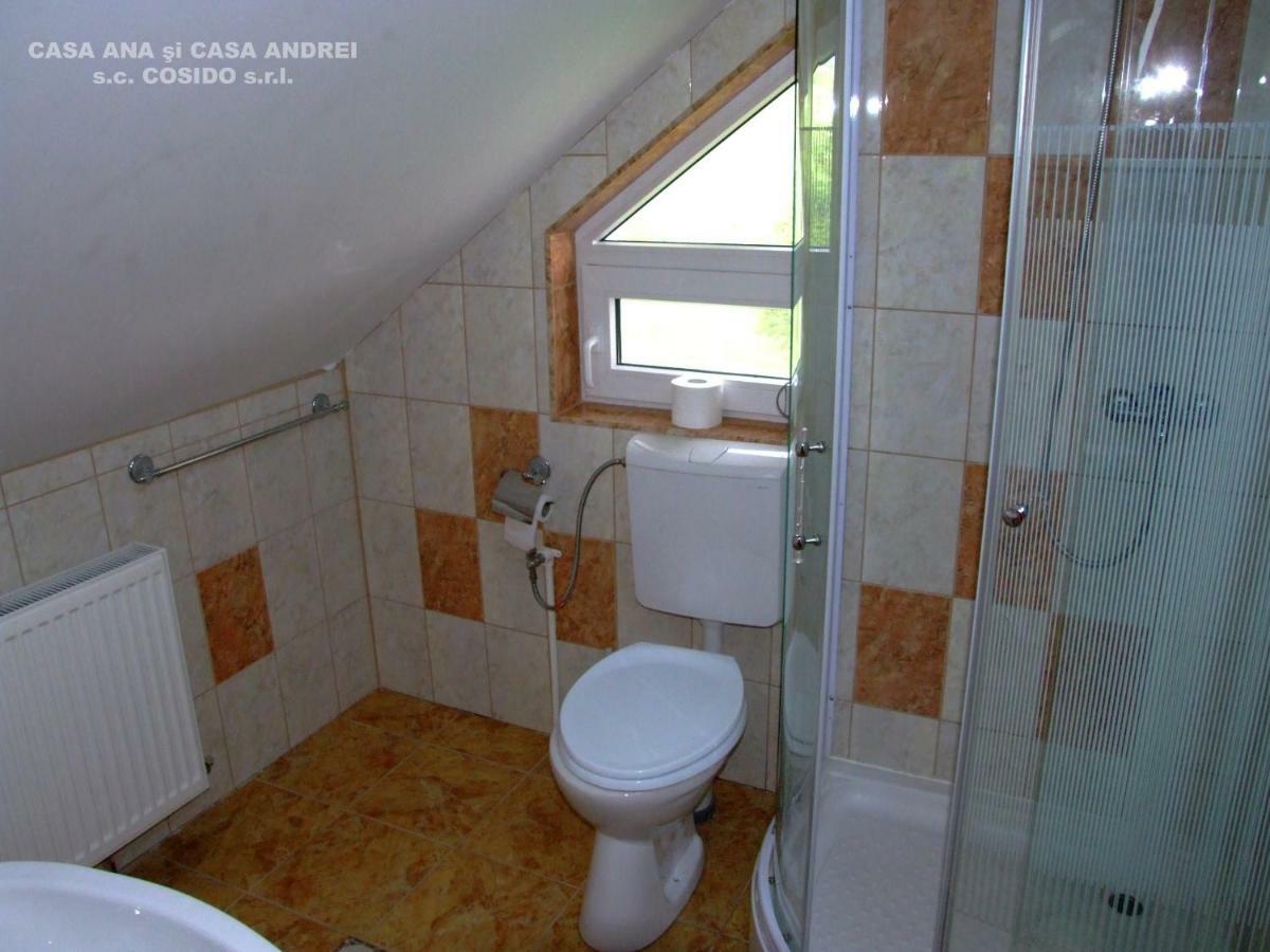 Villa Casa Ana Vatra Dornei Dealu Floreni Esterno foto