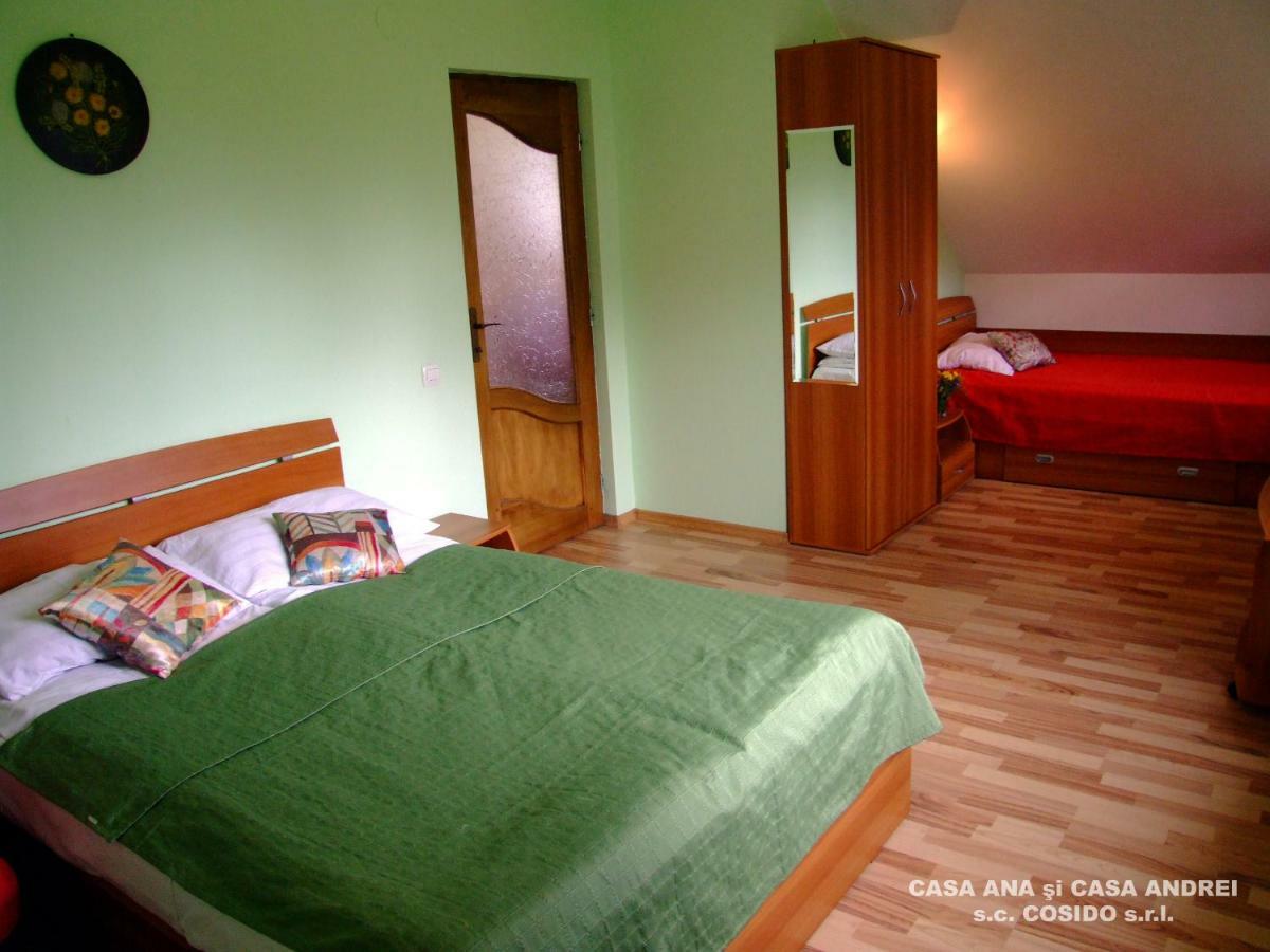 Villa Casa Ana Vatra Dornei Dealu Floreni Esterno foto