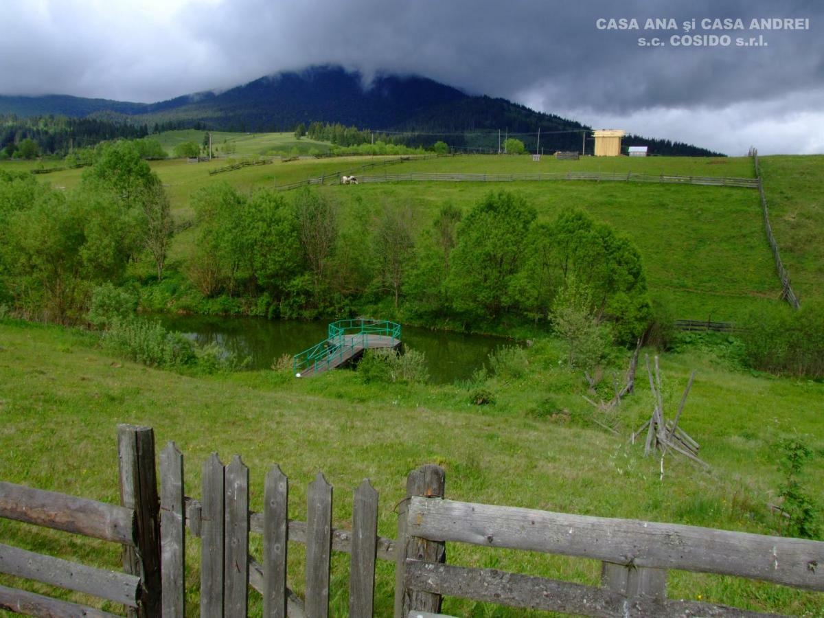 Villa Casa Ana Vatra Dornei Dealu Floreni Esterno foto