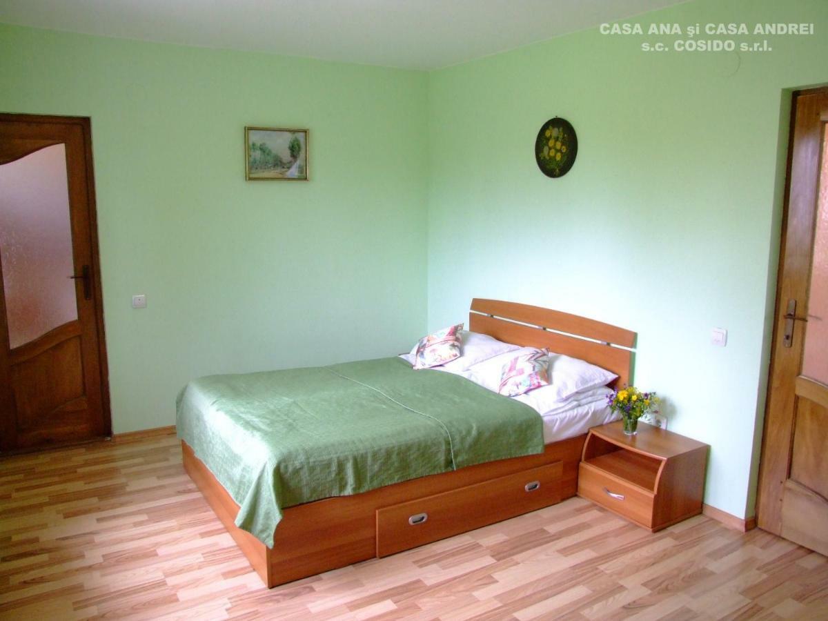 Villa Casa Ana Vatra Dornei Dealu Floreni Esterno foto