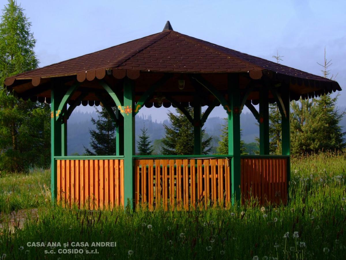 Villa Casa Ana Vatra Dornei Dealu Floreni Esterno foto
