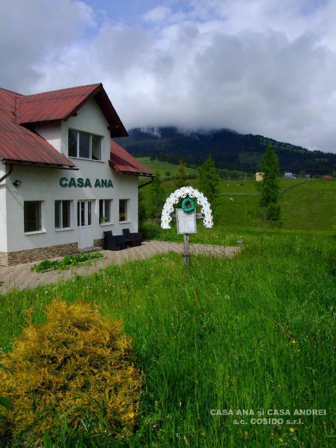 Villa Casa Ana Vatra Dornei Dealu Floreni Esterno foto